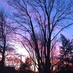 Meet your Posher, Geneva